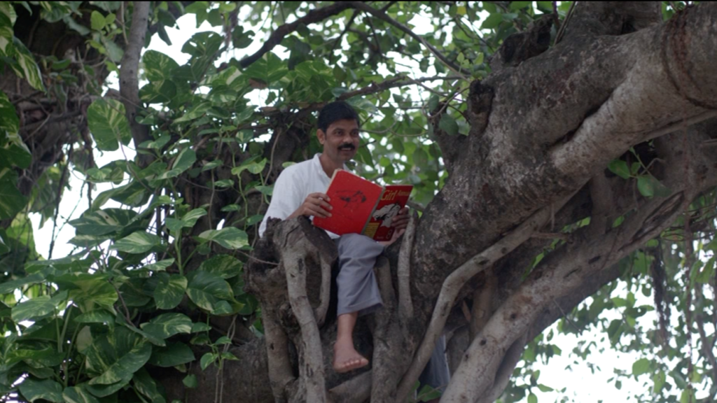Zdjęcie przedstawiające mężczyznę trzymającego książkę, który siedzi na drzewie.